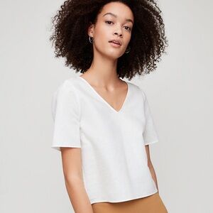 Aritzia Babaton Randy Short Sleeve in Baby Blue Medium